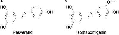 Pre-clinical Pharmacokinetic and Metabolomic Analyses of Isorhapontigenin, a Dietary Resveratrol Derivative